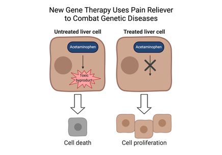 Gene therapy uses pain reliever to combat genetic diseases