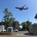 PDX