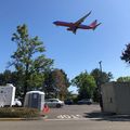 PDX