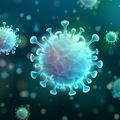 COVID-19 virus