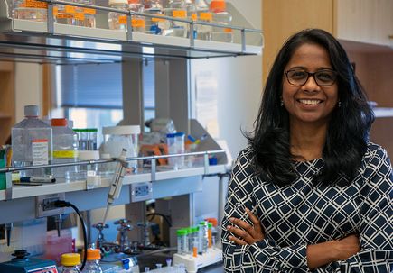 NIH awards OHSU scientist $1.5 million to understand the molecular basis of touch, hearing