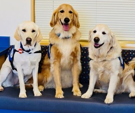 Casey, Davis and Hope (OHSU)