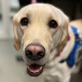 Casey