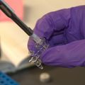 Knight Cancer Institute Research