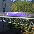 IIMPACT - International Overdose Awareness Day