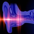 Oregon Hearing Research study could improve cochlear implants