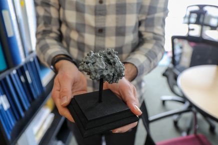 Model - Cohen Lab