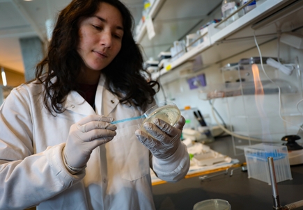 OHSU attracts nearly $600 million in research funding — a record