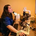 Assisted Reproductive Technology Care at ONPRC