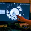 Studying primate embryos to advance human health