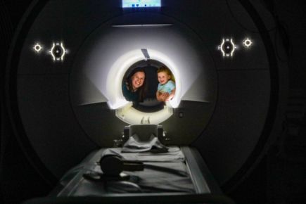 Early brain development