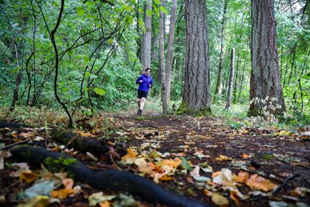 OHSU achieves national milestone in new knee repair technique