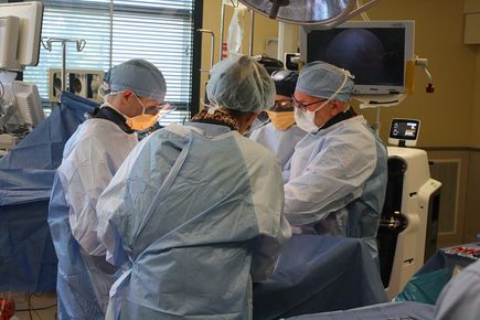 MISHA Knee System