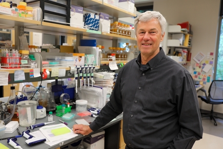 Klaus Früh (Frueh), Ph.D. 