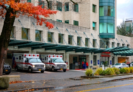 Commission formed to assess gun violence in Multnomah County