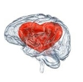 heart brain