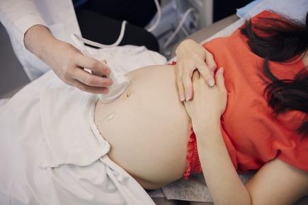 Pregnancy risk study
