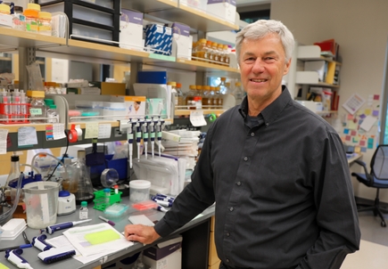 OHSU-developed vaccine shows promise for cancer prevention