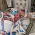 Stephanie Dewes y Stefan Shearer le dieron la bienvenida a su hija Clara en enero.