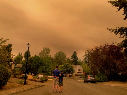 Efectos del humo de los incendios forestales sobre la fertilidad