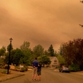 Efectos del humo de los incendios forestales sobre la fertilidad