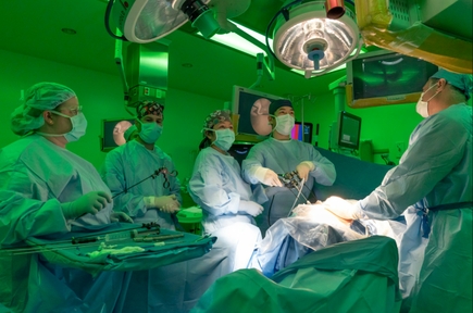 Fetoscopic NTD Surgery Simulation