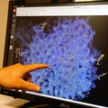 Un mapa crio-EM en Mansoor Lab