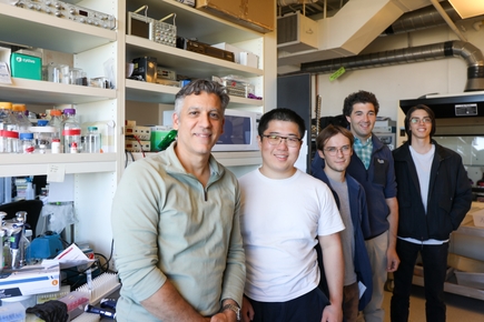Steven Mansoor, Md., PhD. lab