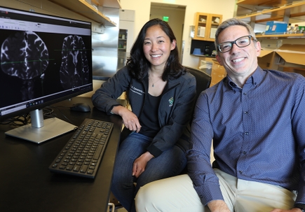 Brain’s waste-clearance pathways revealed for the first time