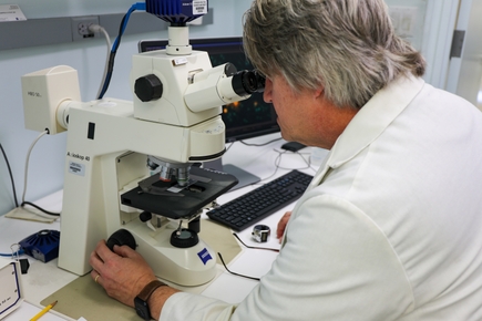 Researching plant-derived chemical compounds