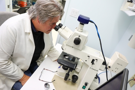 Researching to potential cancer treatments