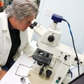 Researching to potential cancer treatments