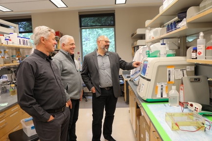 Klaus Früh's research