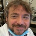 Domenico Tupone, Ph.D. (Courtesy)