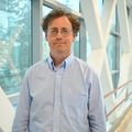 New portable MRI study