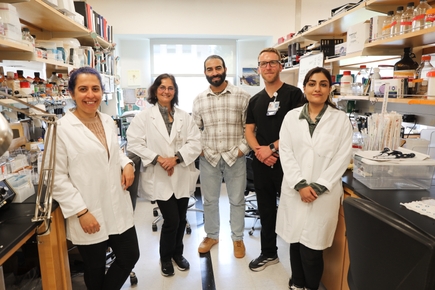 Alireza Karimi lab at OHSU