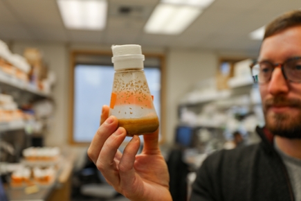 An oft-overlooked cell brain cell could help prevent disease, develop treatments