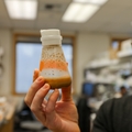 An oft-overlooked cell brain cell could help prevent disease, develop treatments