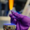 Study: Dangerous E. coli strain blocks gut’s defense mechanism to spread infection
