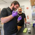 Pruneda - Cohen research