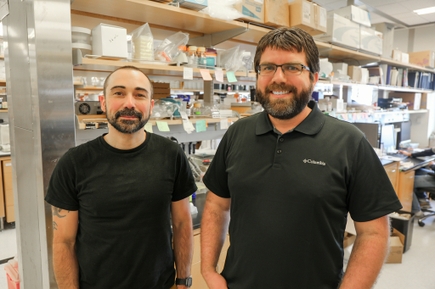 Cohen-Pruneda research