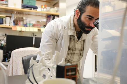 el estudio del glaucoma