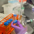Investigadores de OHSU reciben de Kuni Foundation más de $2 millones para la investigación del cáncer