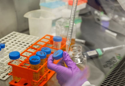 OHSU researchers receive more than $2 million for cancer research from Kuni Foundation