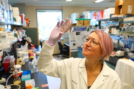 Isabella Rauch, Ph.D.