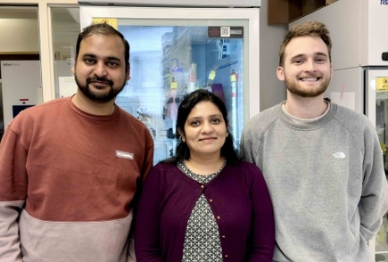 Nitesh Kumar Khandelwal, Ph.D., Megna Gupta, Ph.D., and Devin Seka, Ph.D.