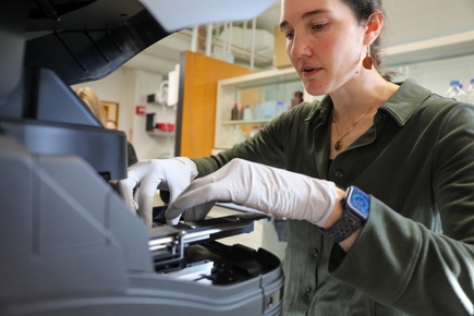 Elizabeth Moss lab