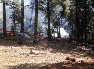 SCE Uses Fire to Fight Wildfires