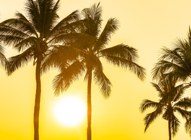 Top 5 Ways to Beat the Heat