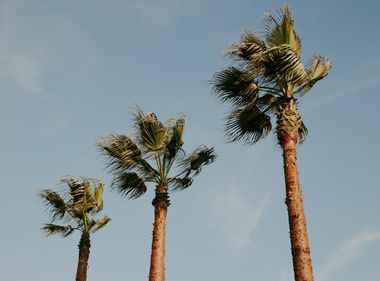 Safety Tips for High Wind Conditions